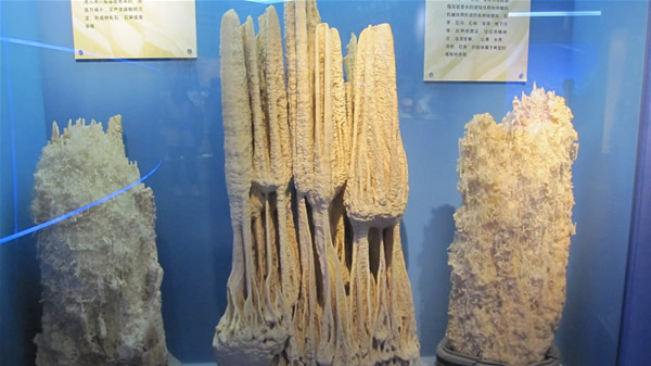河南省地质博物馆相册